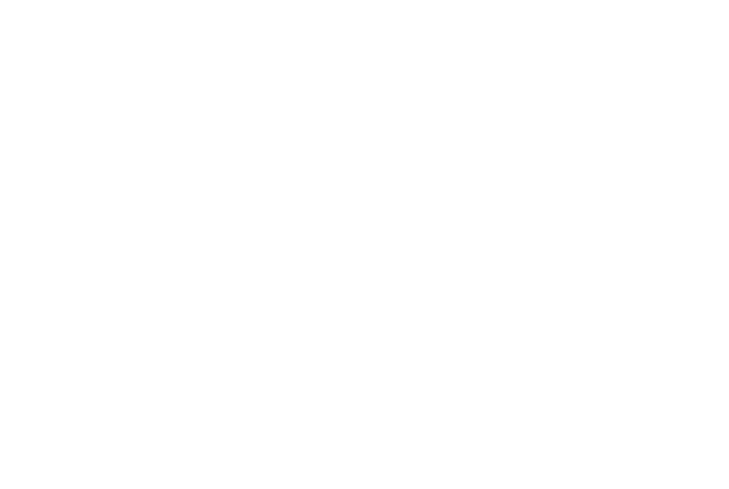 Premium Services Group Logo